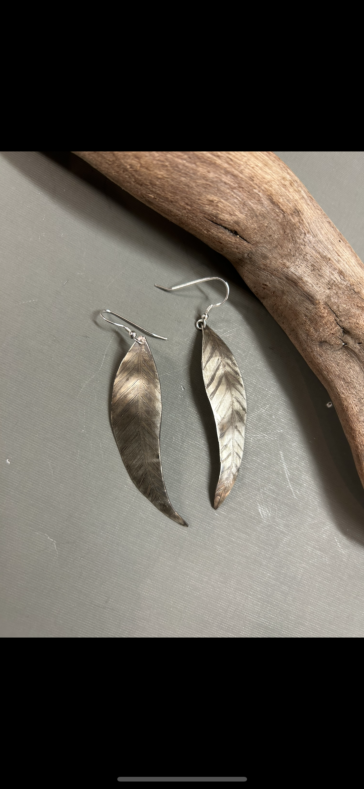 Eucalyptus  leaf earrings